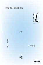 여름에는 상처가 제철