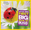 Little Kids First Big Book of Bugs