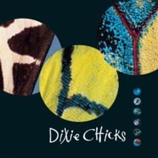 Dixie Chicks / Fly