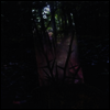 Jensen Sportag - Stealth Of Days (LP)