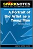 [Spark Notes] A Portrait of the Artist as a Young Man : Study Guide