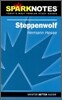 [Spark Notes] Steppenwolf : Study Guide