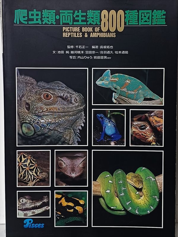 파충류.양생류 800종도감(일본책) -도마뱀,뱀,거북이,개구리-210/298/25, 431쪽-절판된 귀한책-