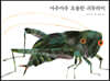 아주아주 조용한 귀뚜라미