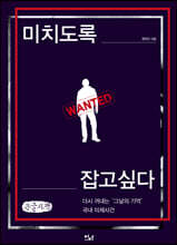 미치도록 잡고 싶다 (큰글자책)