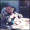 Thomas Bartlett (토마스 바틀렛) - Shelter [LP]