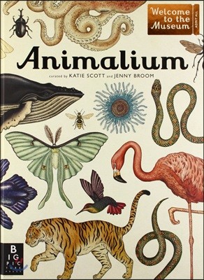Animalium: Welcome to the Museum