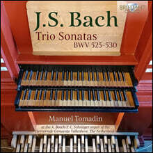 Manuel Tomadin 바흐: 트리오 소나타 (J.S. Bach: Trio Sonatas BWV 525-530)