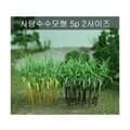 [포레스]모형사탕수수