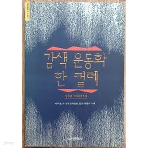 감색 운동화 한 켤레