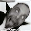 Kassa Overall (카사 오버올) - ANIMALS