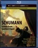 Antoni Wit 슈만: 괴테 파우스트의 장면들 (Schumann: Scenes from Goethe's Faust, WoO 3)