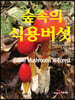숲속의 식용버섯