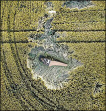 Jorg Halubek 바흐: 삼중협주곡 BWV 1044, 관현악 모음곡 2번 BWV 1067, 하프시코드 협주곡 BWV 1055, 플루트 파르티타 BWV 1013 (Bach: Partita &amp; Concertos)