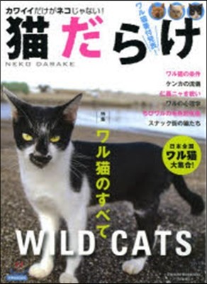 猫だらけ