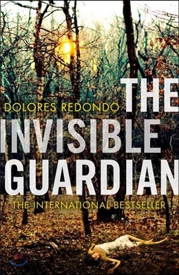 Invisible Guardian (the Baztan Trilogy, Book 1)