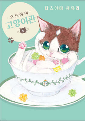 오드아이 고양이관 1