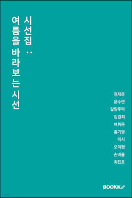 시선집 : 여름을 바라보는 시선