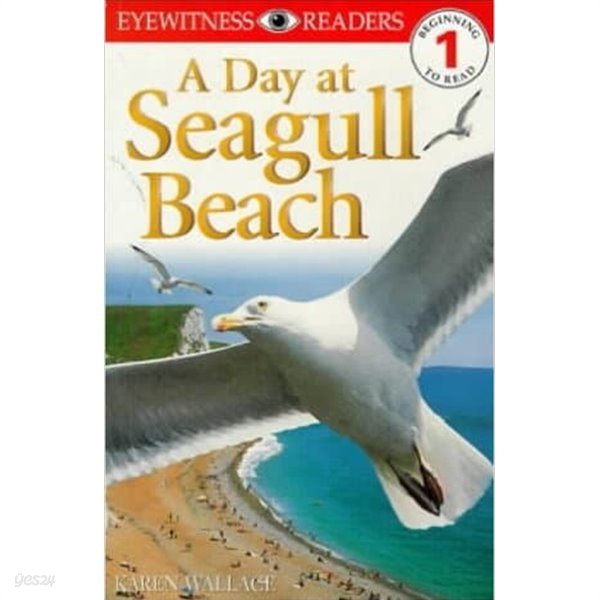 A Day at Seagull Beach (DK Readers Level 1) Paperback