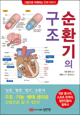 순환기의 구조