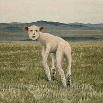 쏜애플 (THORNAPPLE) - EP [동물]