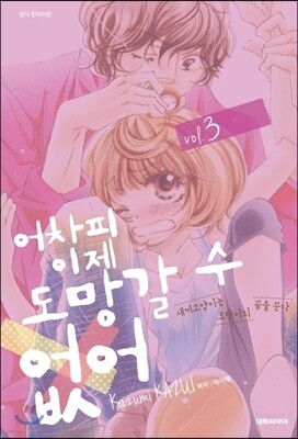 어차피 이제 도망갈 수 없어 3