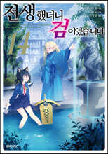 전생했더니 검이었습니다 14