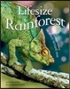 Lifesize Rainforest