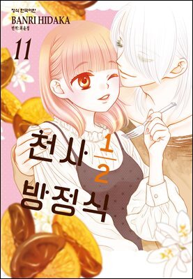 천사 1/2 방정식 11권