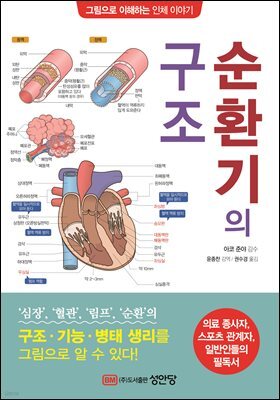 순환기의 구조