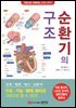 순환기의 구조