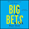 Big Bets: How Large-Scale Change Really Happens