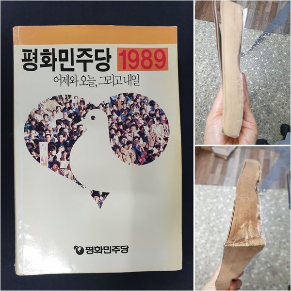 평화민주당 1989 - 어제와 오늘, 그리고 내일