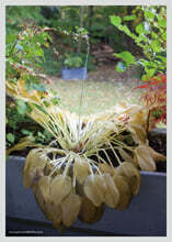 혁오 (HYUKOH) - 사랑으로