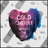 차가운 체리 (Cold Cherry) - Before The Rain