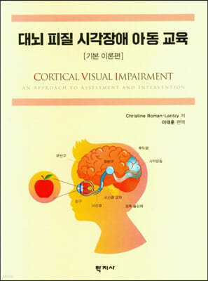 대뇌 피질 시각장애 아동 교육 : 기본 이론편