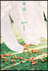 마주
