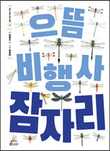 으뜸 비행사 잠자리
