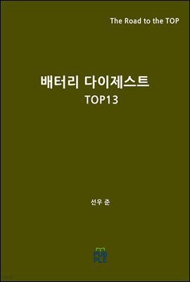 배터리 다이제스트 TOP13
