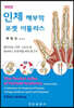인체 해부학 포켓 아틀라스