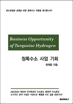 청록수소 사업 기회 