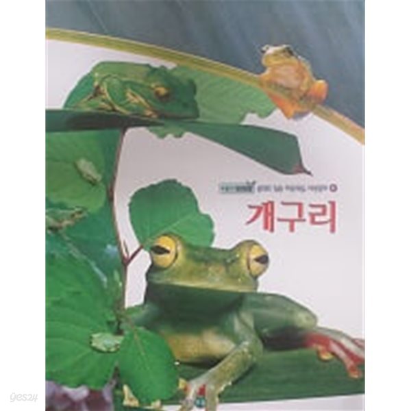 개구리(푸름이 자연관찰 41)