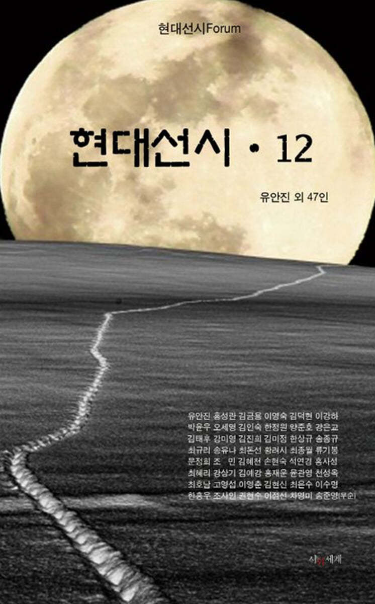 현대선시 12