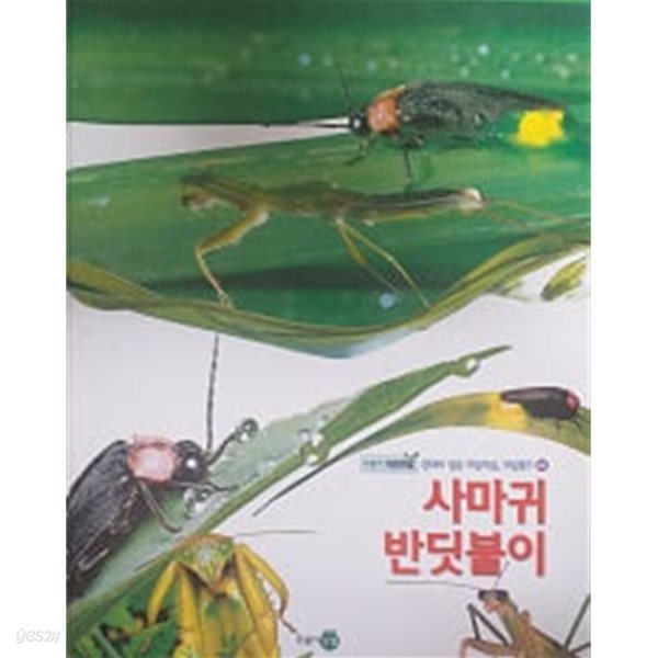 사마귀, 반딧불이(푸름이 자연관찰 08)