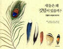 새들은 왜 깃털이 있을까?