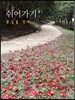 쉬어가기 #1: 꽃길을 걷다