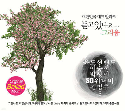 듣고 있나요...그리움 (2CD)