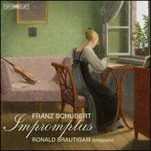 Ronald Brautigam 슈베르트: 즉흥곡 (Schubert: 4 Impromptus, D.935 &amp; D.899)