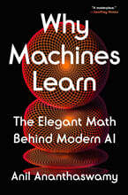 Why Machines Learn: The Elegant Math Behind Modern AI