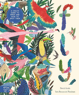Fly: Shortlisted for the Wainwright Prize for Children's Nature and Conservation Writing 2024